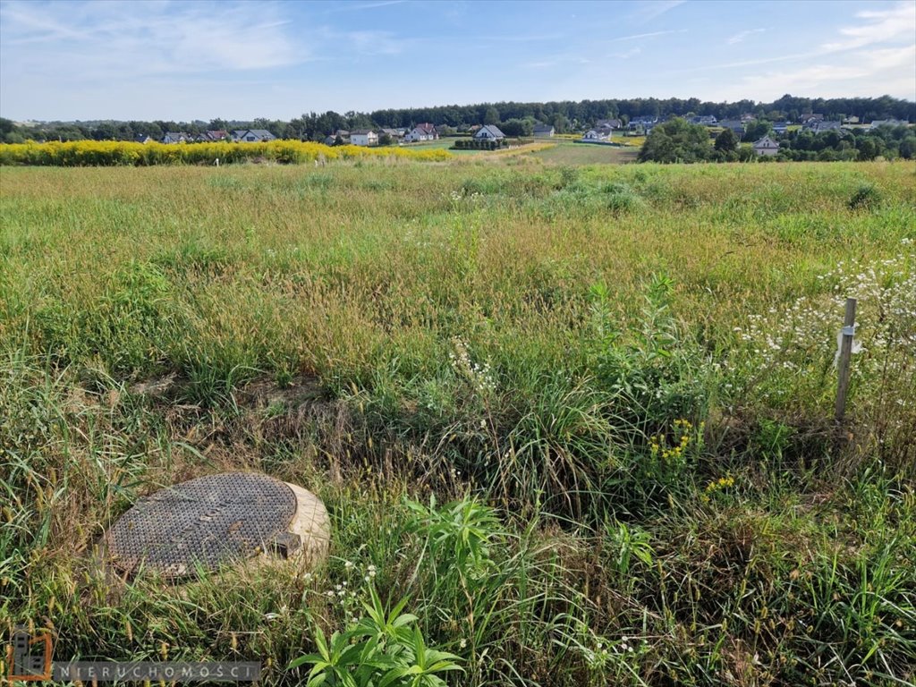 Działka budowlana na sprzedaż Masłomiąca  800m2 Foto 4