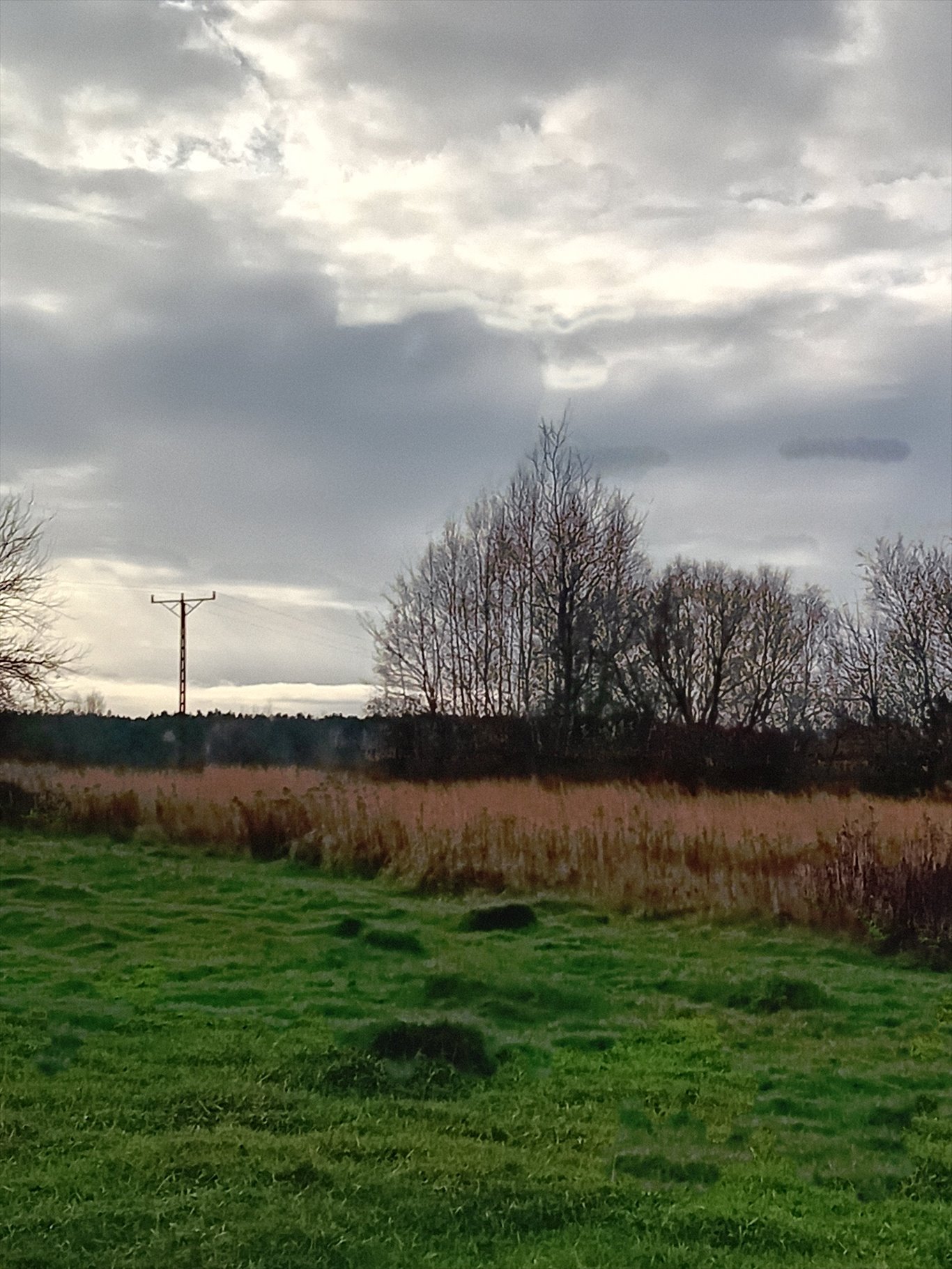 Działka rolna na sprzedaż Trachy, Zamojska  16 000m2 Foto 2