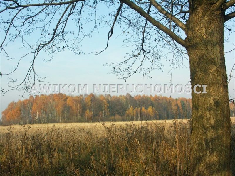 Działka rolna na sprzedaż Skierniewice, Borowiny  35 900m2 Foto 3