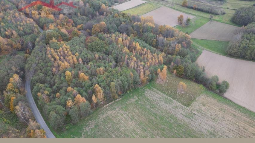 Działka leśna na sprzedaż Piotrówka  2 700m2 Foto 2