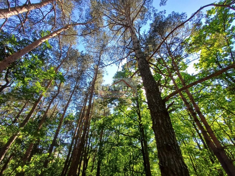 Działka inna na sprzedaż Nowa Wola  9 859m2 Foto 6