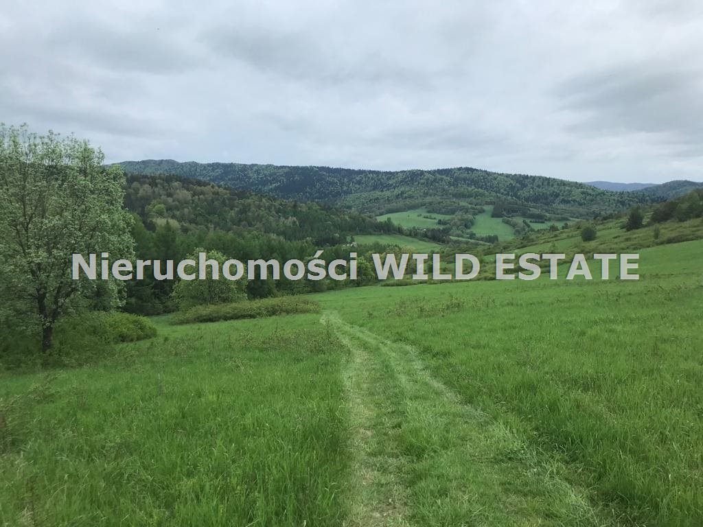 Duża działka 21,7 ha z panoramicznymi widokami Baligród, Baligród  216 777m2 Foto 1