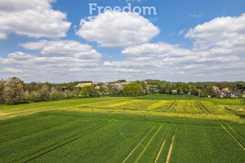 Działka rolna na sprzedaż Kraczkowa  5 600m2 Foto 6