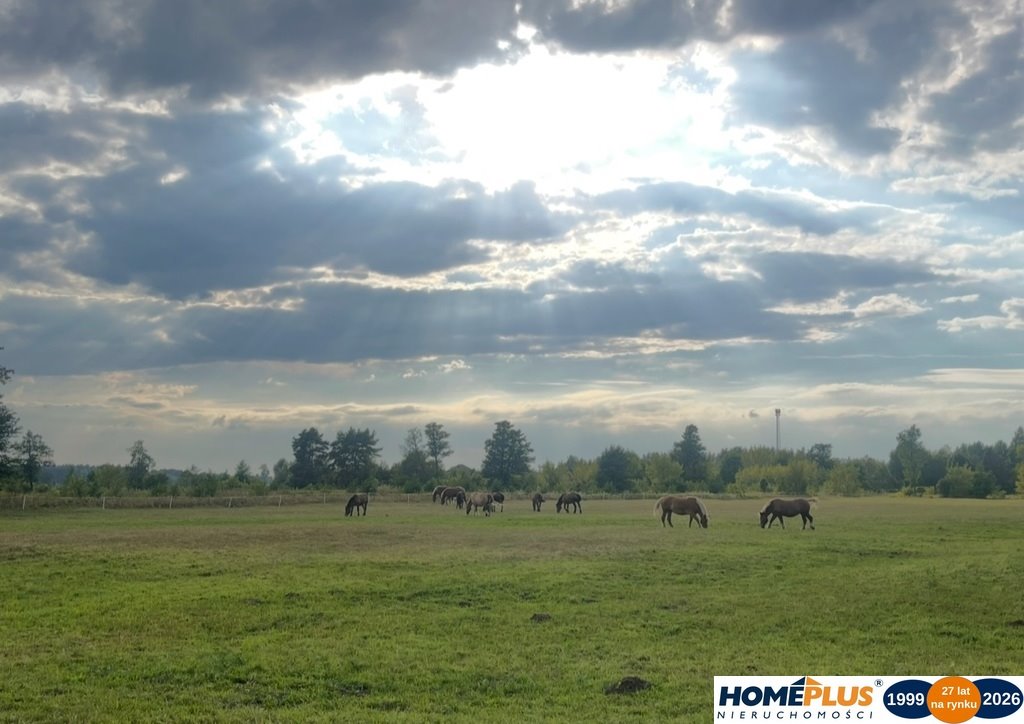 Działka 11 604 m² z budynkiem i dostępem do drogi Ruda  11 604m2 Foto 1