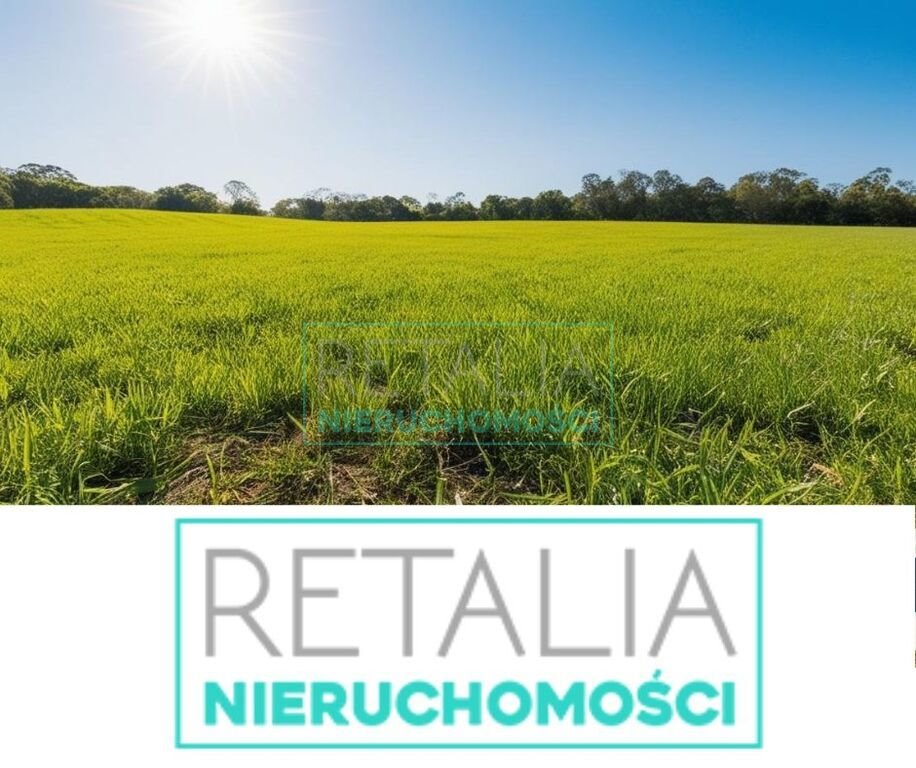 Działka leśna 7 000 m² przy trasie Lubelskiej i S2 Majdan  7 000m2 Foto 1