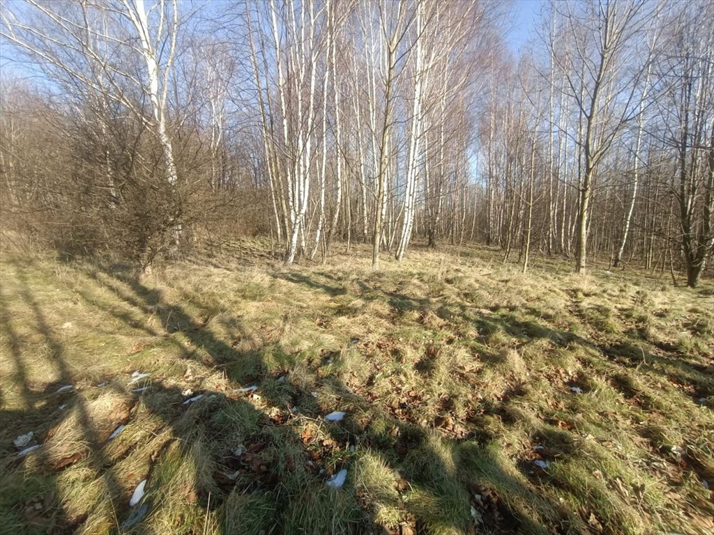 Działka budowlana na sprzedaż Piechowice, Łąkowa  1 300m2 Foto 2