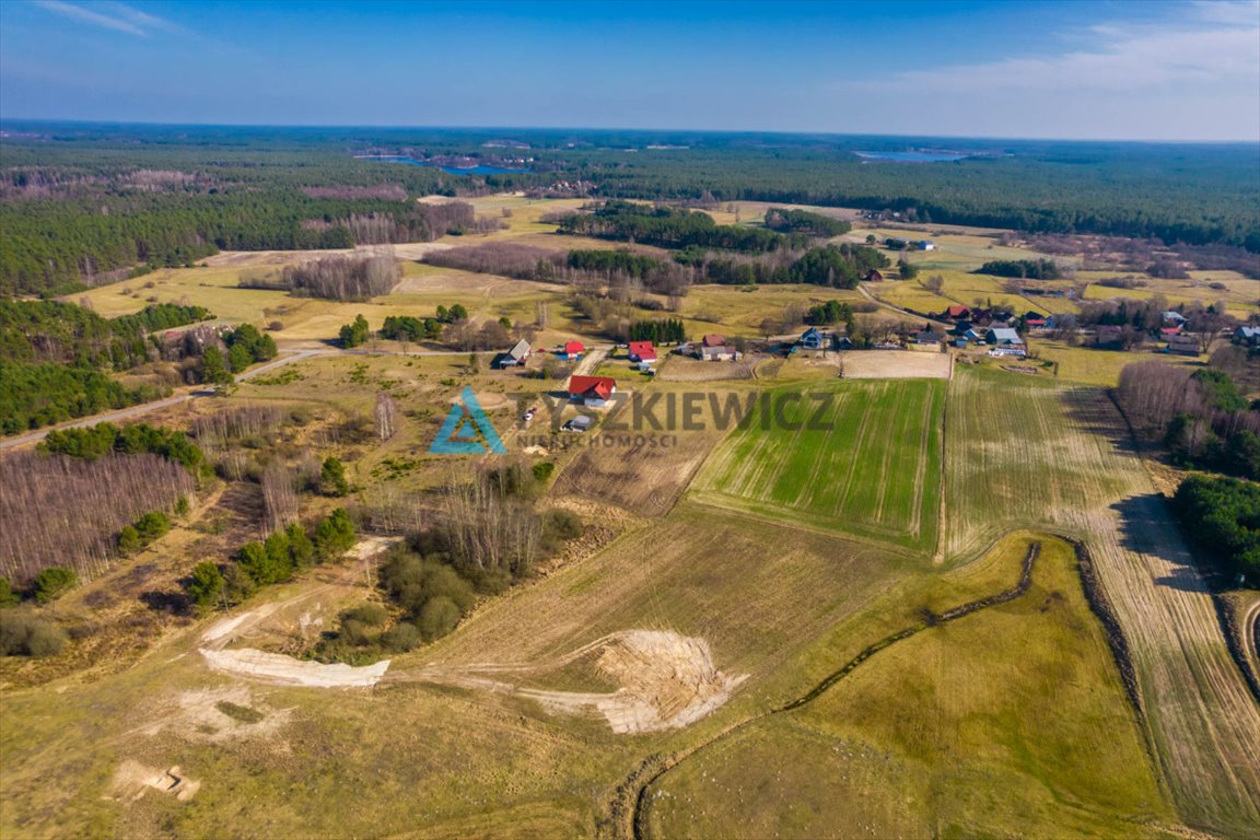 Działka rolna na sprzedaż Kurcze  6 548m2 Foto 7