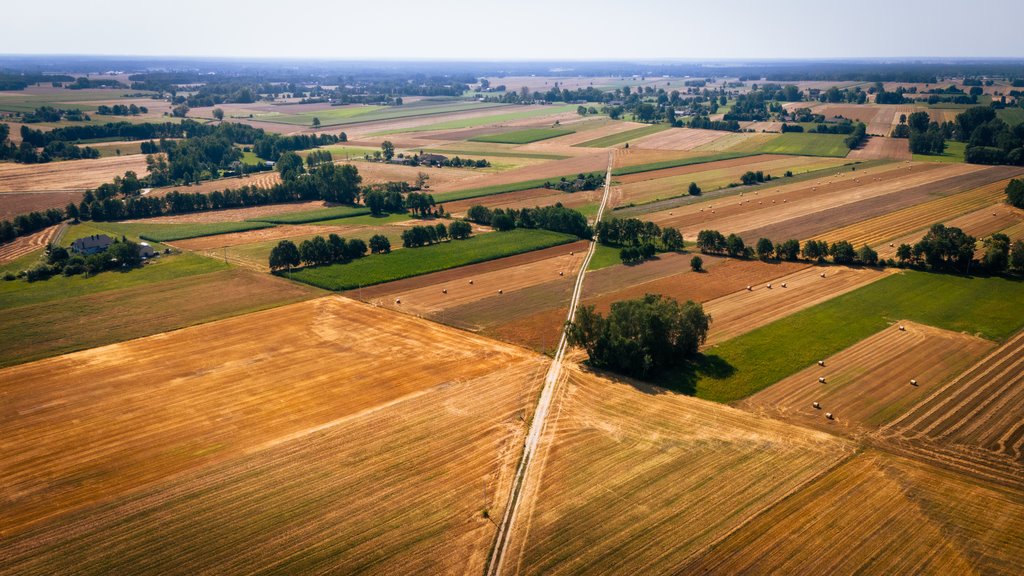 Działka budowlana na sprzedaż Adamów  1 255m2 Foto 6