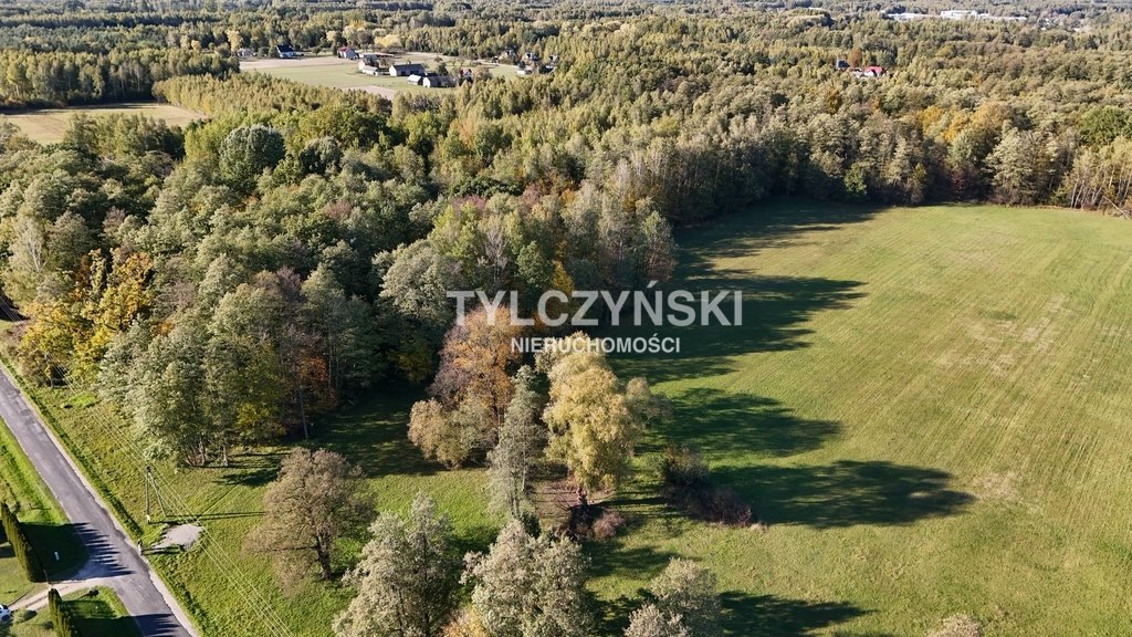 Działka rolna na sprzedaż Ciepłe  23 166m2 Foto 9