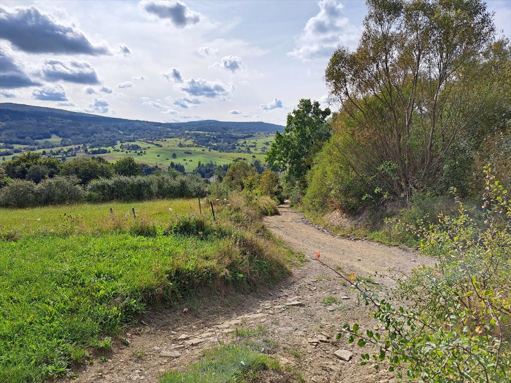 Działka rolna na sprzedaż Posada Jaśliska  9 900m2 Foto 4