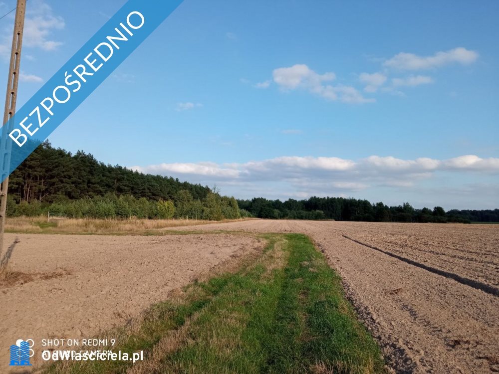 Działka budowlana na sprzedaż Nojewo  1 600m2 Foto 4