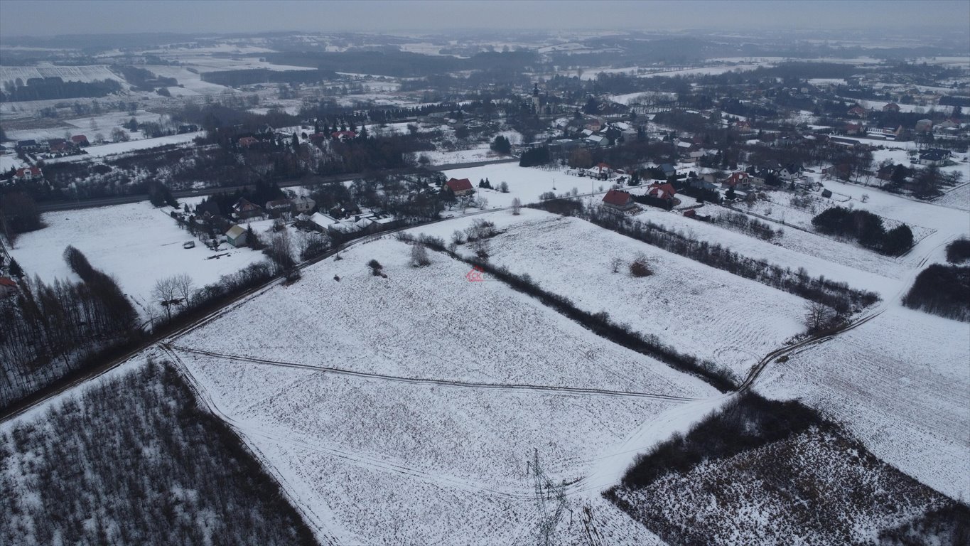 Działka budowlana na sprzedaż Lisów, Leśna  5 336m2 Foto 5