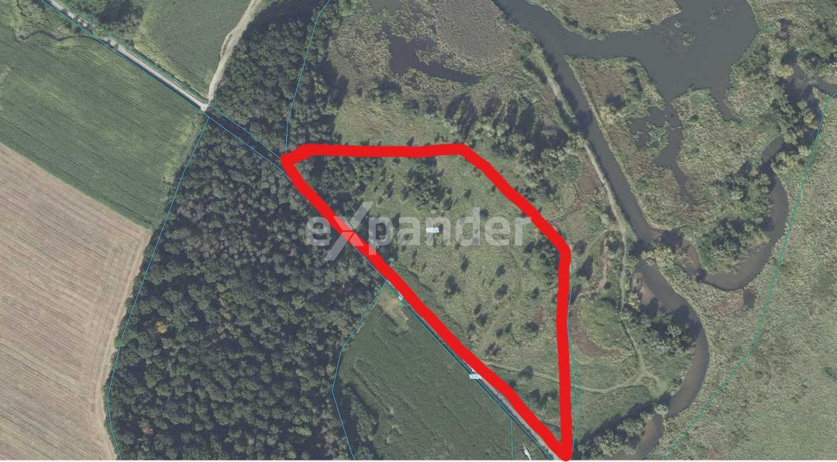 Działka nad Jeziorem Niedów 3,5 ha z możliwością podziału Spytków  35 000m2 Foto 1