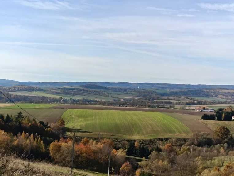 Działka inna na sprzedaż Święcko, Święcko  1 854m2 Foto 4