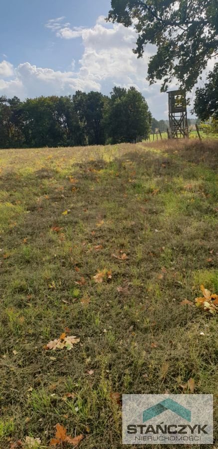 Działka rolna na sprzedaż Sieraków  16 000m2 Foto 3