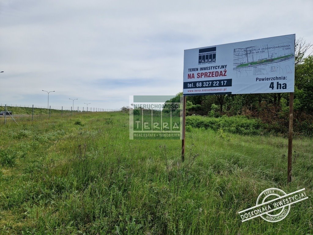 Do sprzedania działka inwestycyjna 42 000 m² przy S3 w Sulechowie Sulechów, Kruszyna  42 000m2 Foto 1