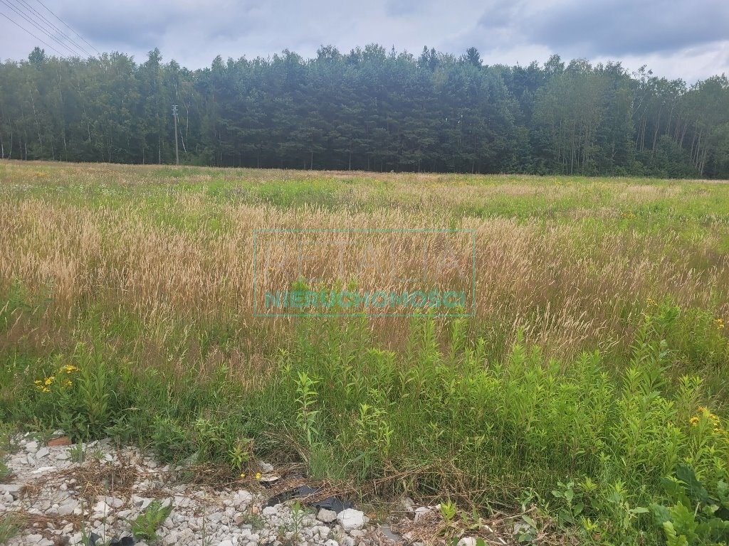 Działka komercyjna na sprzedaż Bieniewiec  1 435m2 Foto 1