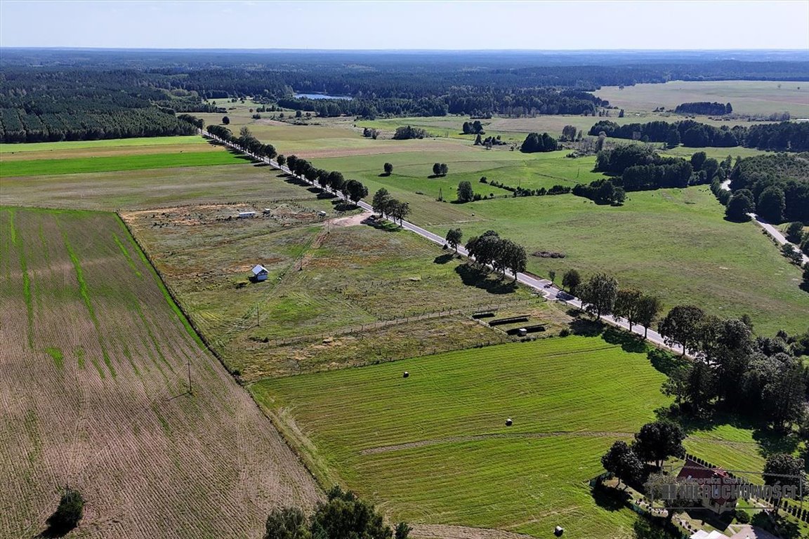 Działka budowlana na sprzedaż Drężno  2 007m2 Foto 6