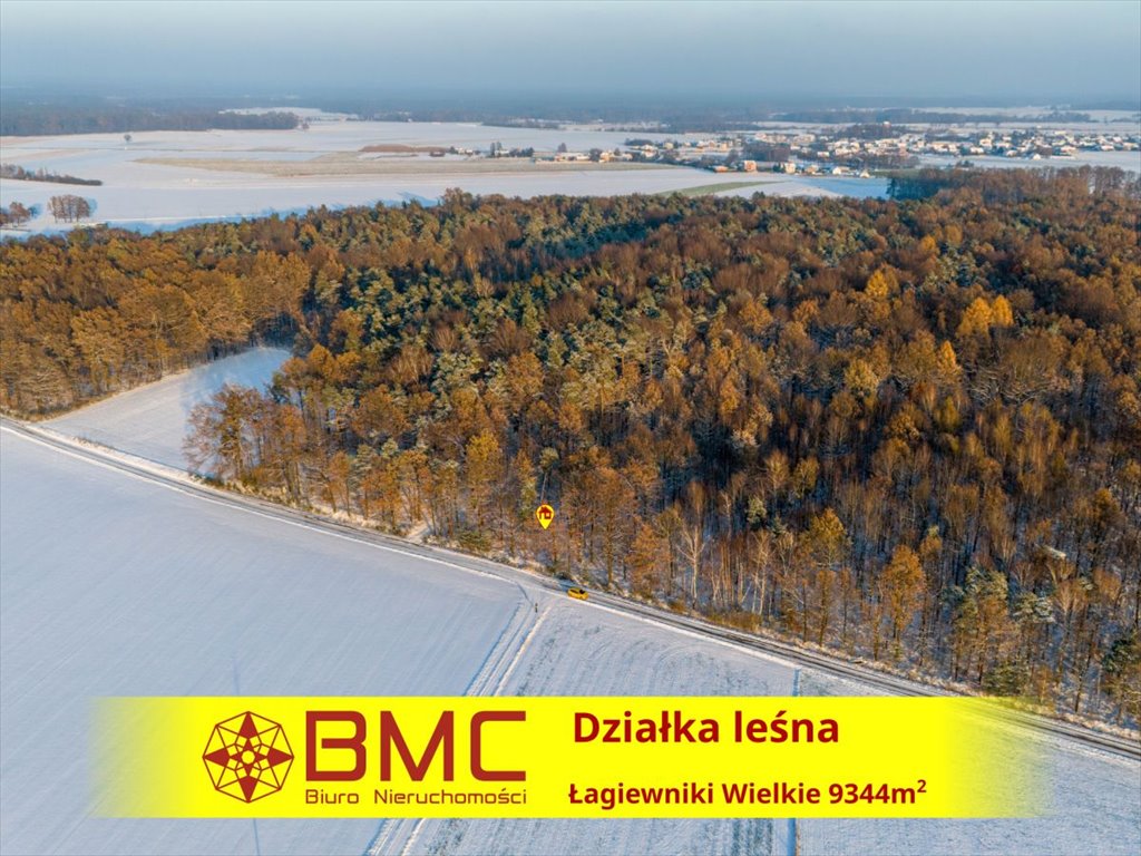 Działka leśna na sprzedaż Łagiewniki Wielkie  9 344m2 Foto 1