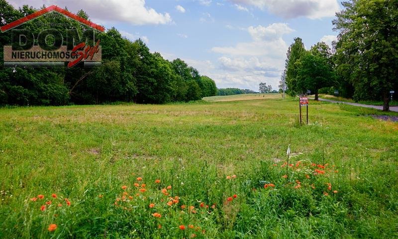 Działka budowlana na sprzedaż Gudowo  1 342m2 Foto 7