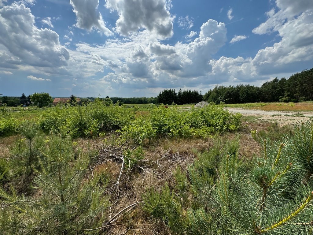 Działka budowlana na sprzedaż Grodzanów  1 000m2 Foto 6