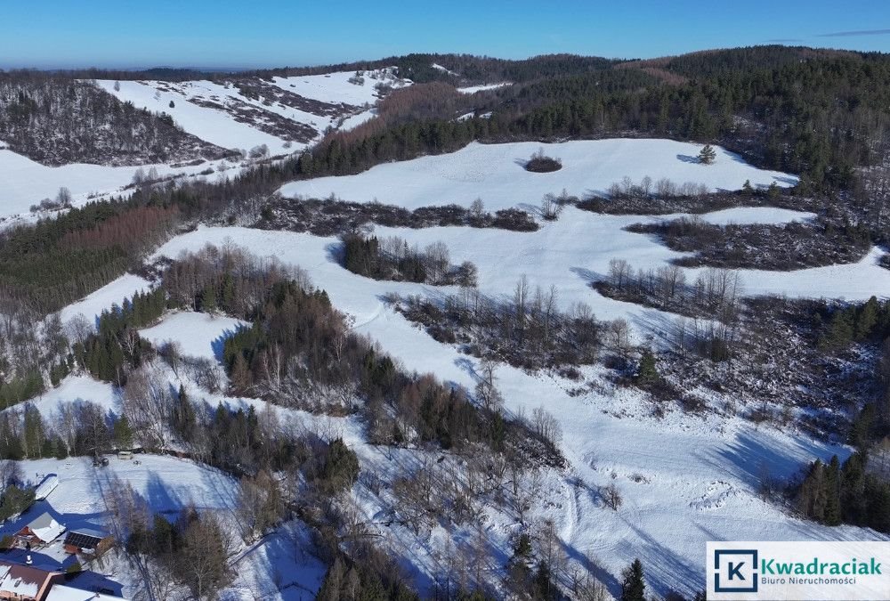 Działka inwestycyjna na sprzedaż Stężnica  102 500m2 Foto 4