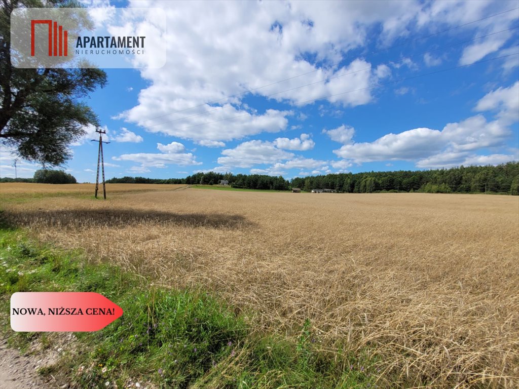 Działka gospodarstwo rolne na sprzedaż Skorzewo  3 000m2 Foto 2