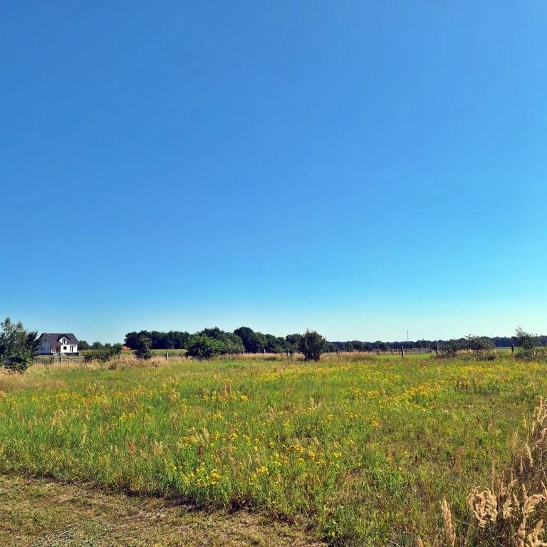 Działka budowlana na sprzedaż Ochodze, Prószkowska  2 330m2 Foto 1