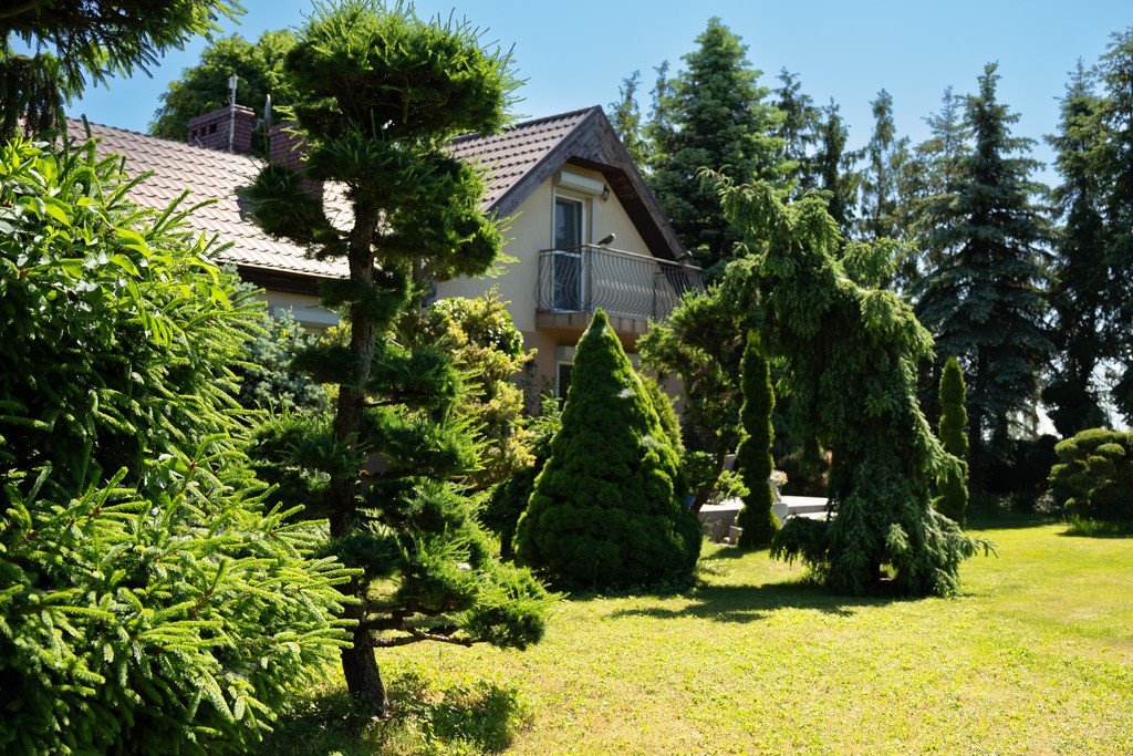 Na sprzedaż siedlisko 9 898 m² w Rybitwach z basenem Rybitwy  9 898m2 Foto 1