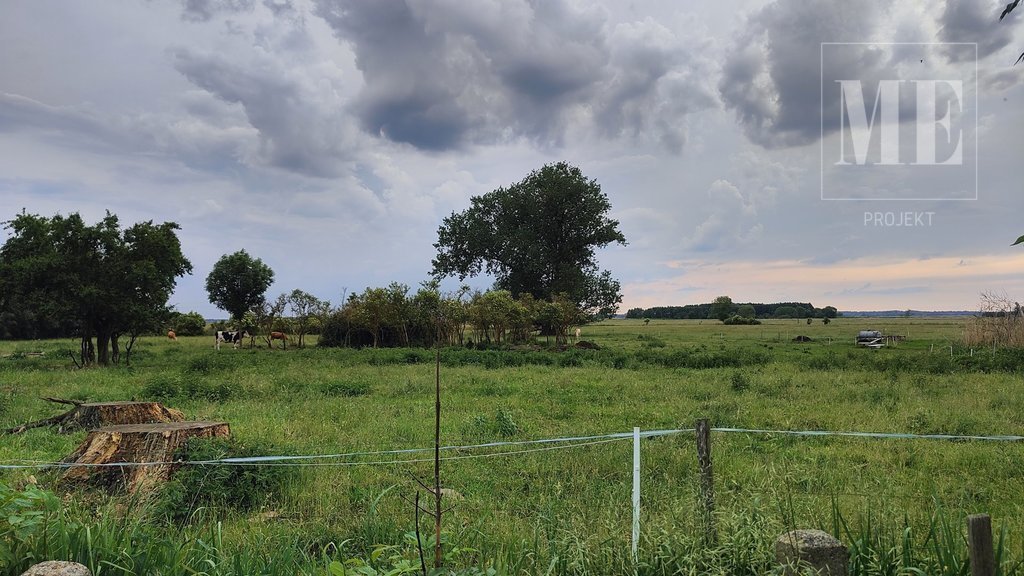 Działka budowlana na sprzedaż Gąsierzyno, Wojska Polskiego  3 000m2 Foto 8