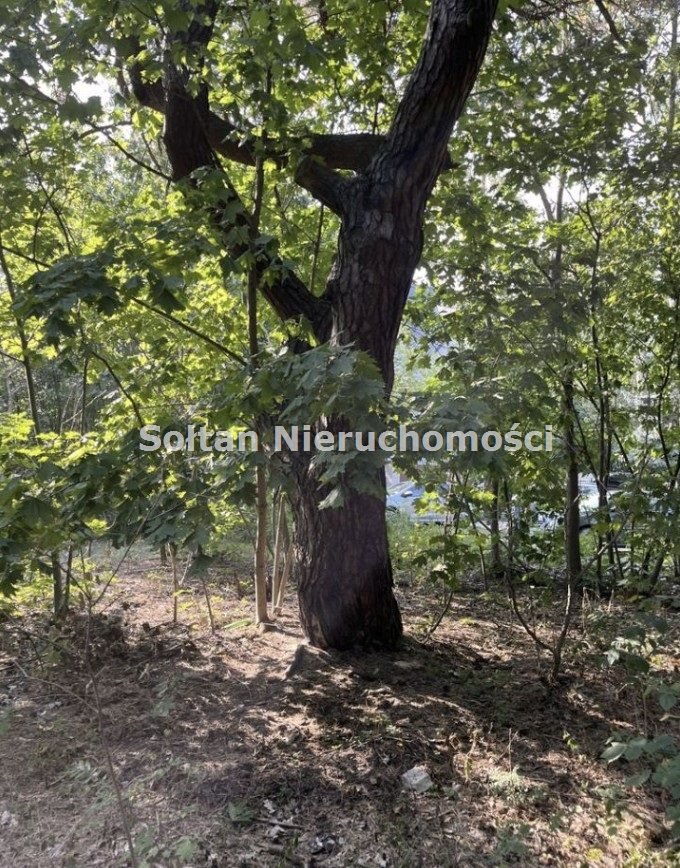 Działka inna na sprzedaż Warszawa, Wawer, Miedzeszyn, Tuberozy  1 547m2 Foto 1