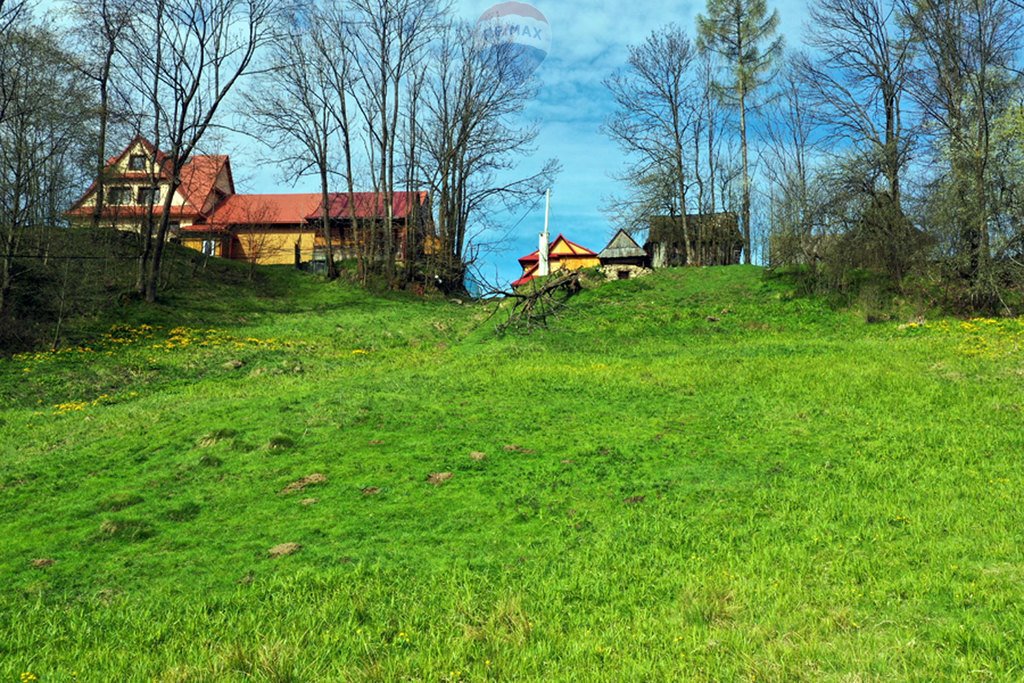 Działka budowlana na sprzedaż Białka Tatrzańska  1 948m2 Foto 14