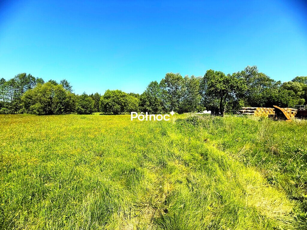 Polecam działkę 1359 m² z warunkami zabudowy w Borzykówce Borzykówka  1 359m2 Foto 1