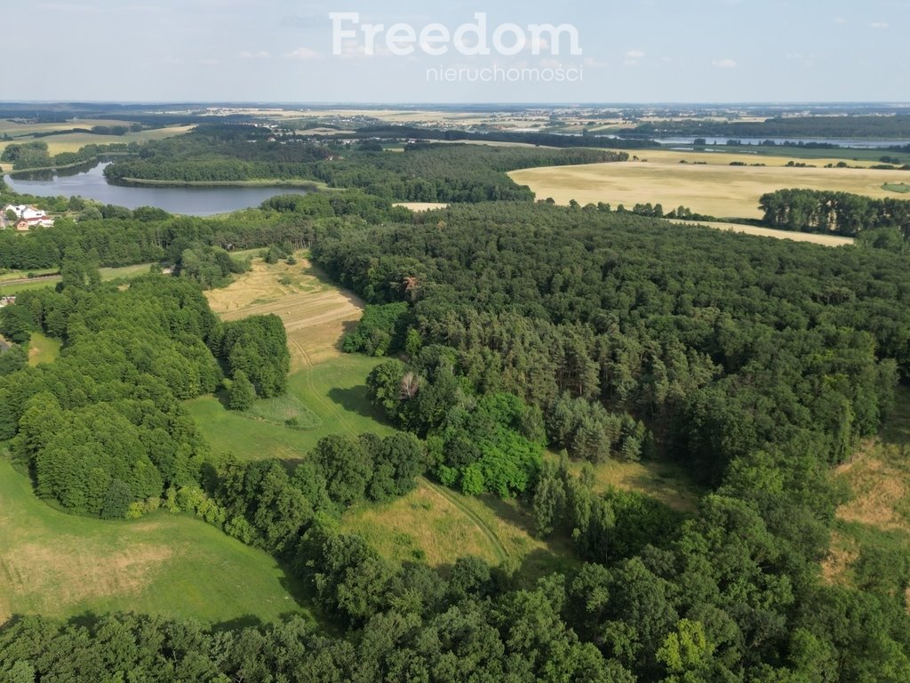 Działka inna na sprzedaż Dolsk  15 000m2 Foto 1