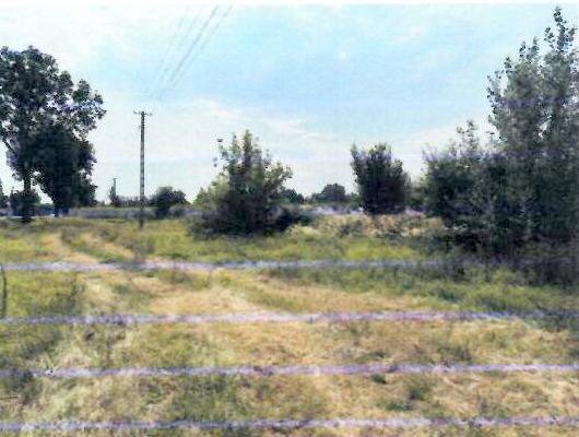Działki Kisielewo łącznie 2,8 ha, udział 1/2, atrakcyjna cena Kisielewo  29 233m2 Foto 1