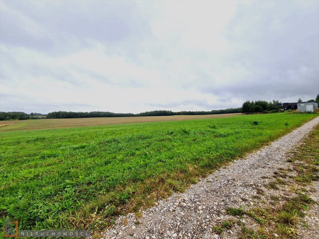 Działka inna na sprzedaż Smardzowice  3 000m2 Foto 3