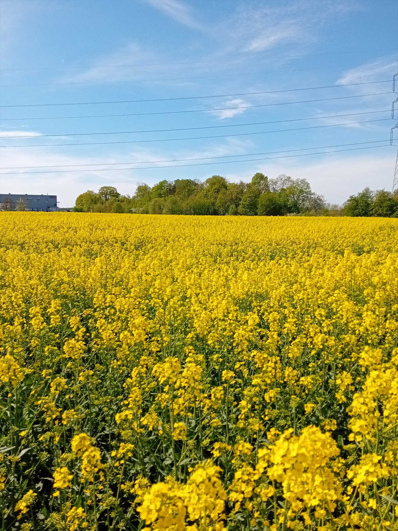 Dom na sprzedaż Rzeczyce, Łąkowa  150m2 Foto 5