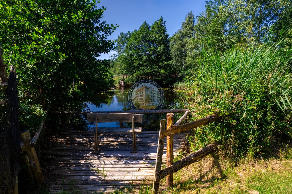 Dom na sprzedaż Kołczewo  500m2 Foto 8