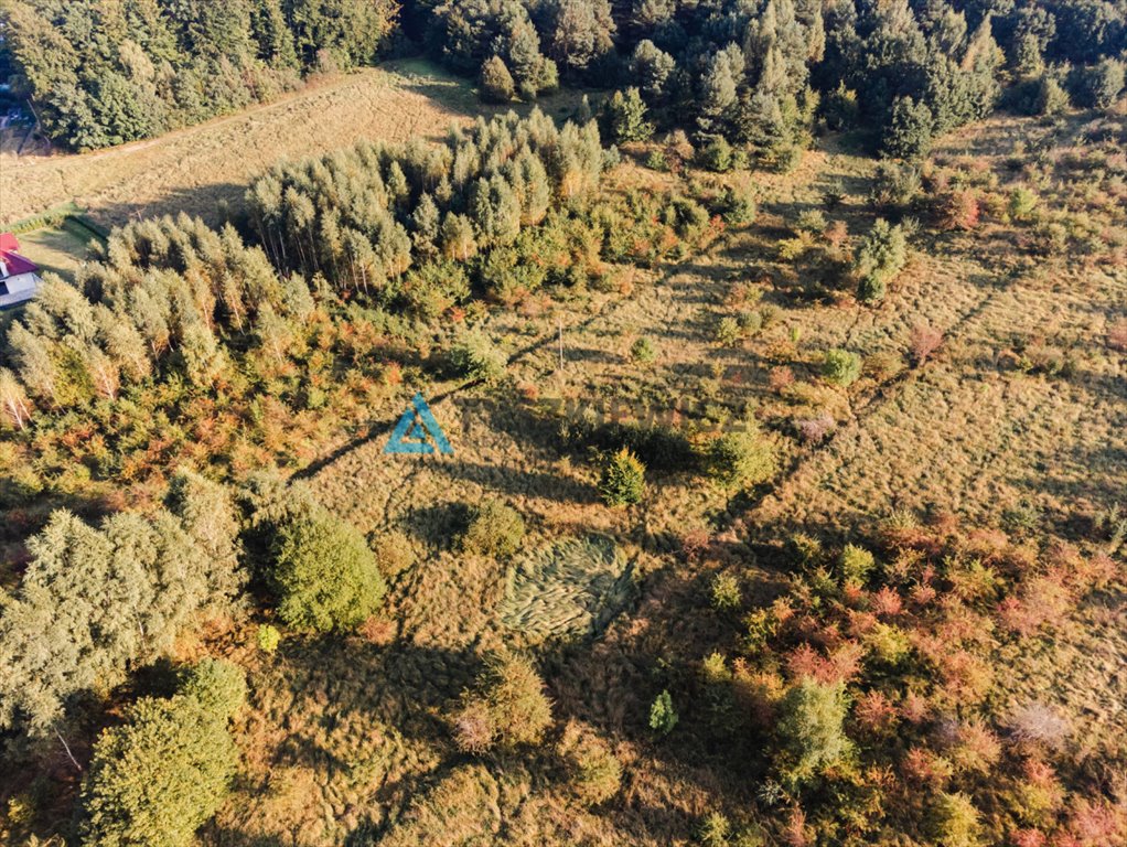 Działka przemysłowo-handlowa na sprzedaż Bolszewo, Wejherowska  1 117m2 Foto 7