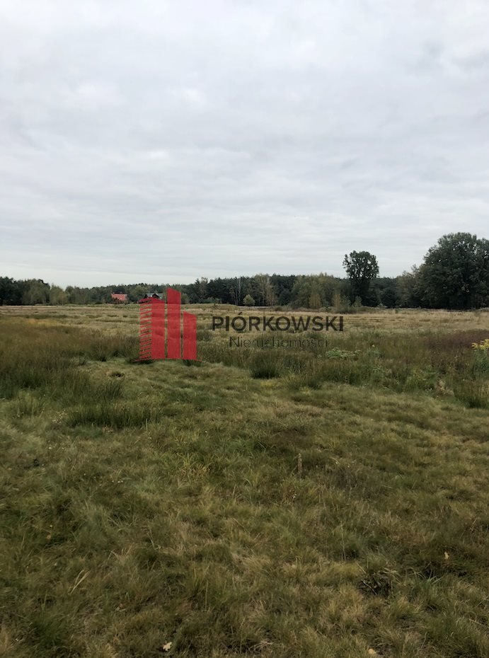 Działka 3702 m² w spokojnej okolicy, las i zieleń - polecam! Stanisławów Pierwszy, Stróżańska  3 701m2 Foto 1