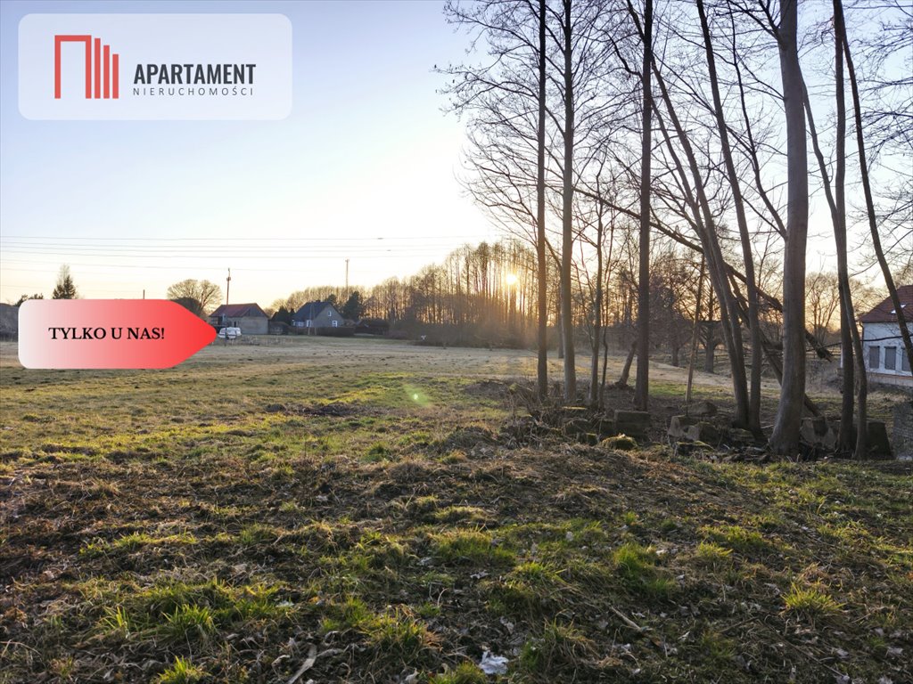 Działka 1300 m² z historią i naturą - polecam! Gościm  1 300m2 Foto 1