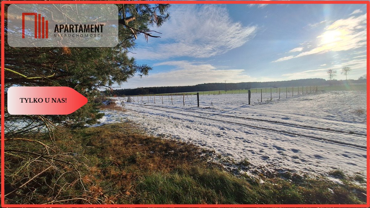 Działka gospodarstwo rolne na sprzedaż Boruchowo  39 114m2 Foto 1