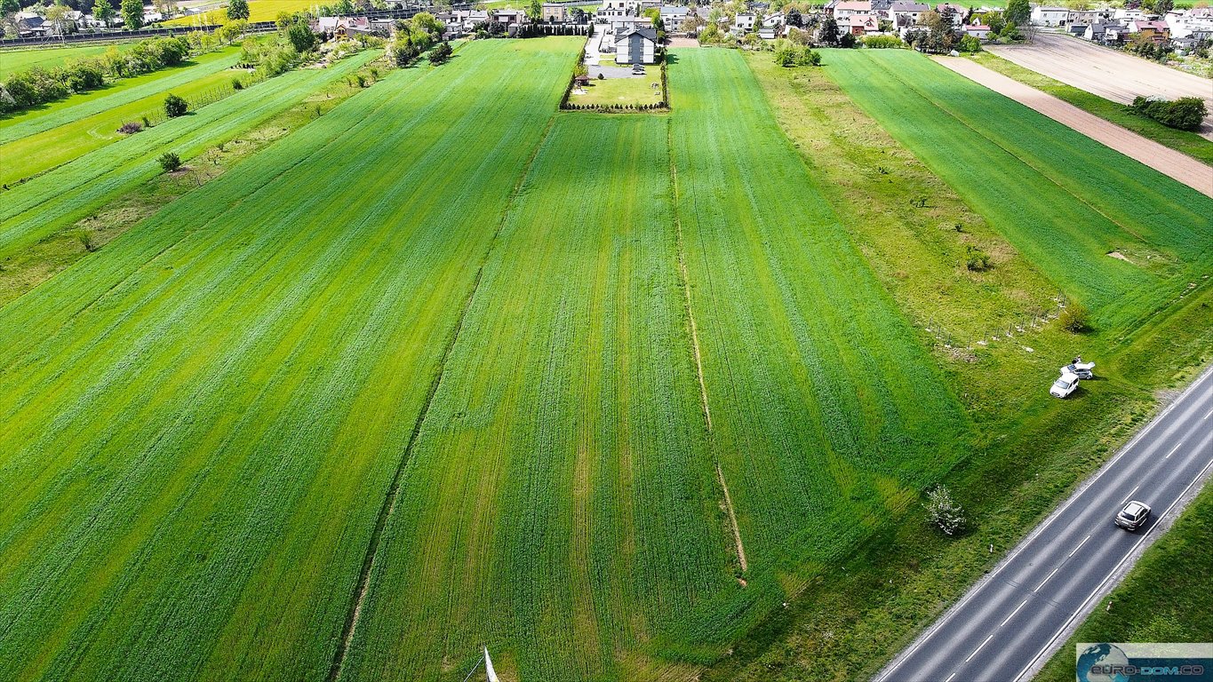 Działka inwestycyjna na sprzedaż Słupca, objazdowa  4 853m2 Foto 2