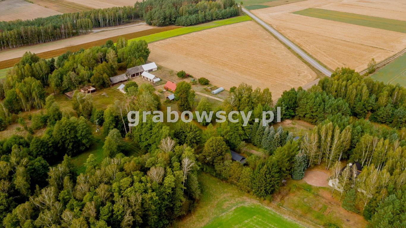 Działka inna na sprzedaż Czerewki  3 043m2 Foto 5