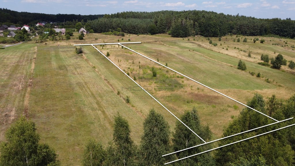 Działka rolna na sprzedaż Górzyska  3 900m2 Foto 8