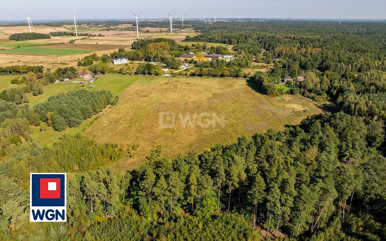 Działka siedliskowa na sprzedaż Kanin, Kanin  3 000m2 Foto 10