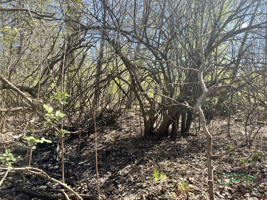 Działka przemysłowa 12 419 m² z dostępem do drogi Zabrze, Os. Kopernika, Al. J.Nowaka-Jeziorańskiego  12 419m2 Foto 1