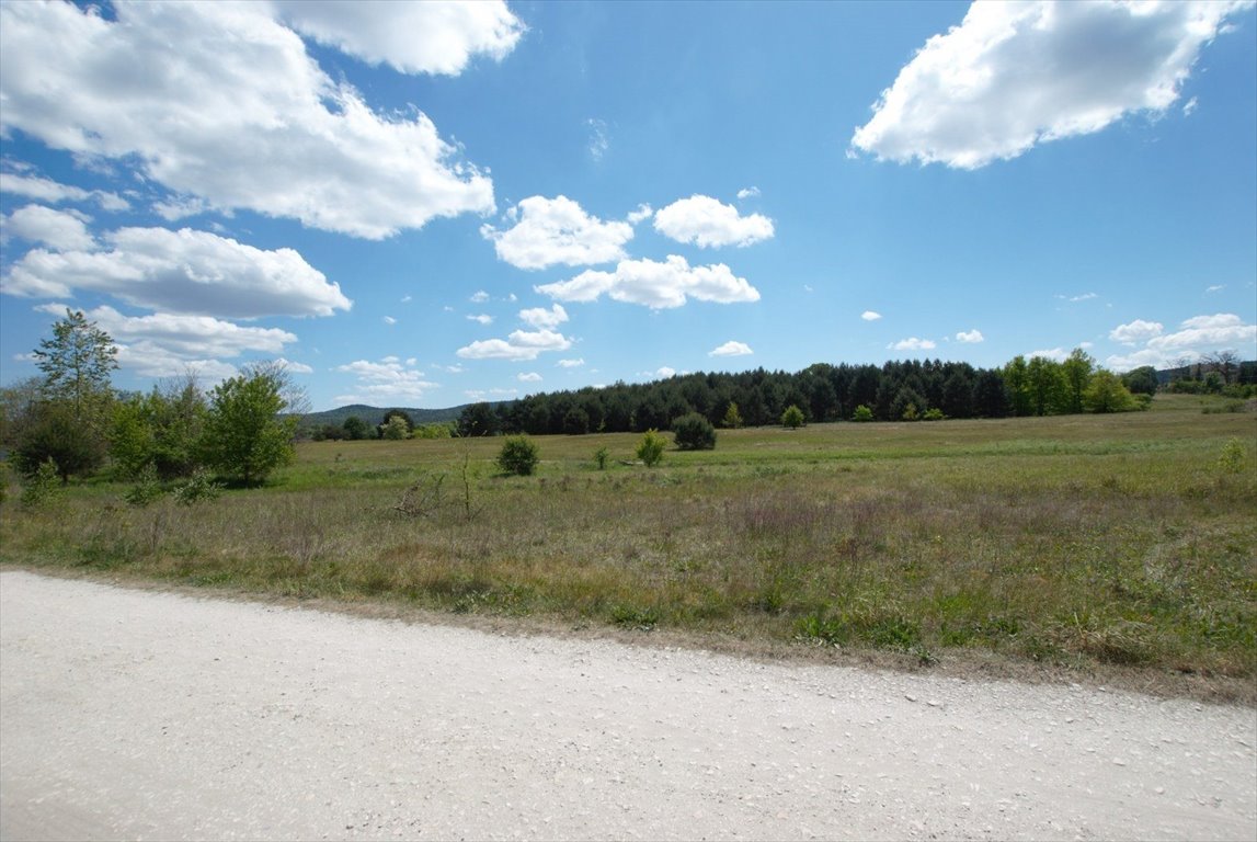 Działka inna na sprzedaż Kielce, Białogon, Aleksandrówka  2 590m2 Foto 4