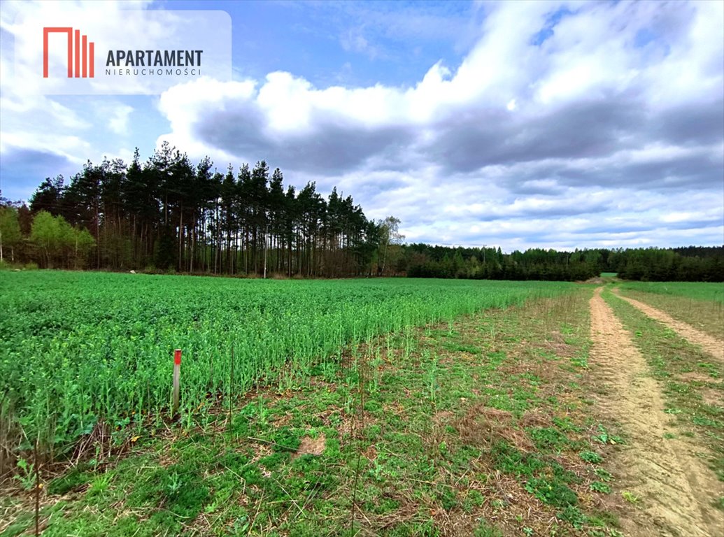 Działka budowlana na sprzedaż Frank  1 000m2 Foto 11