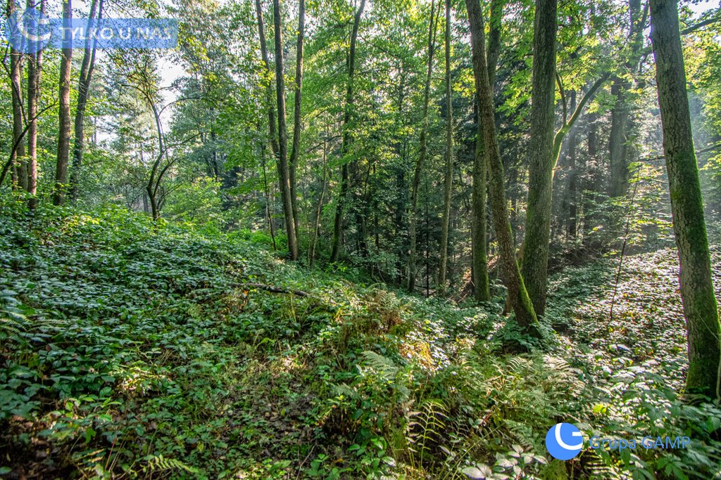 Dom na sprzedaż Barwałd Dolny, Długa  70m2 Foto 20